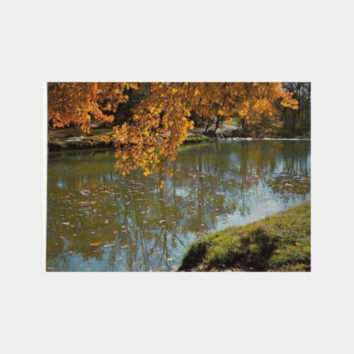 1978 Yıldız Parkı Beşiktaş Görünüş Kartpostal