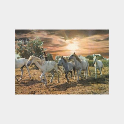 1980 Atlar Konulu Kartpostal