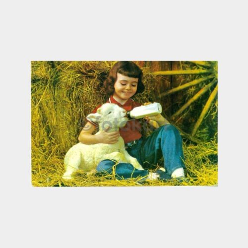 1980 Ayşegül Bebe Baskılı Kartpostal