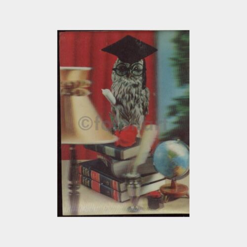 Baykuş Konulu 3 Boyutlu Kartpostal