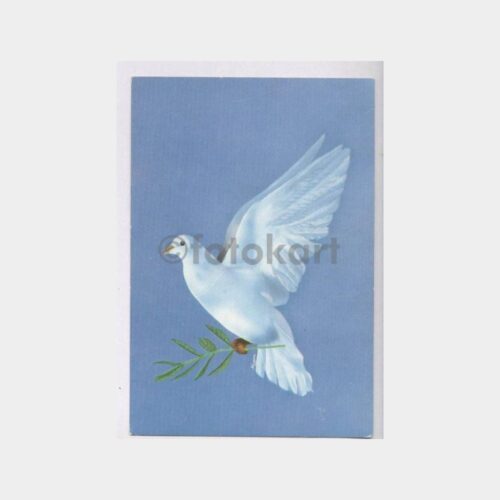 Beyaz Güvercin Konulu Kartpostal