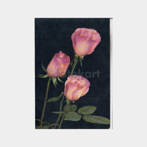 1960 Çiçek Konulu Doğan Kardeş Baskısı Kartpostal