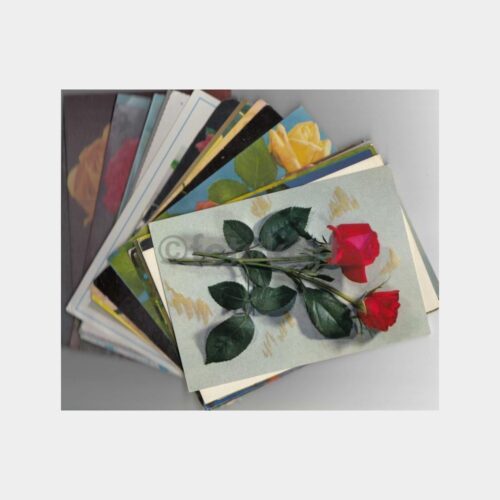 1970 Gül Çiçek Konulu Kartpostal Lotu (40 Adet)