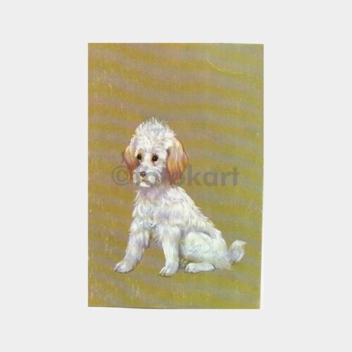 Sevimli Köpek Tebrik Kartpostal