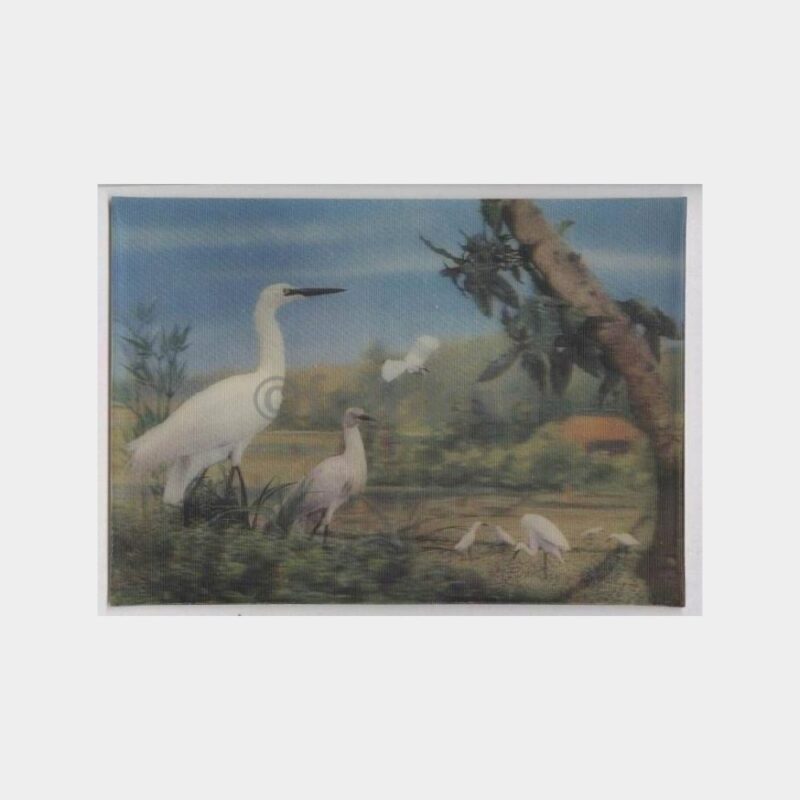 Leylekler Konulu 3 Boyutlu Kartpostal