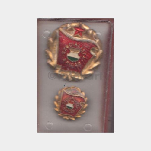Macaristan Socialist Brigade Konulu Rozet (Kutusunda)