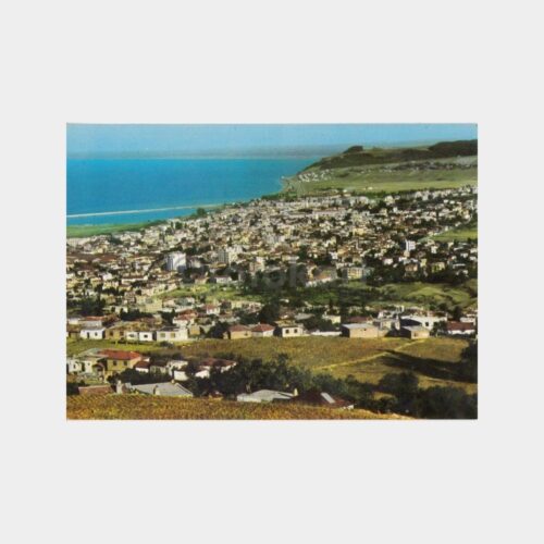 1975 Samsun Genel Görünüş Kartpostal