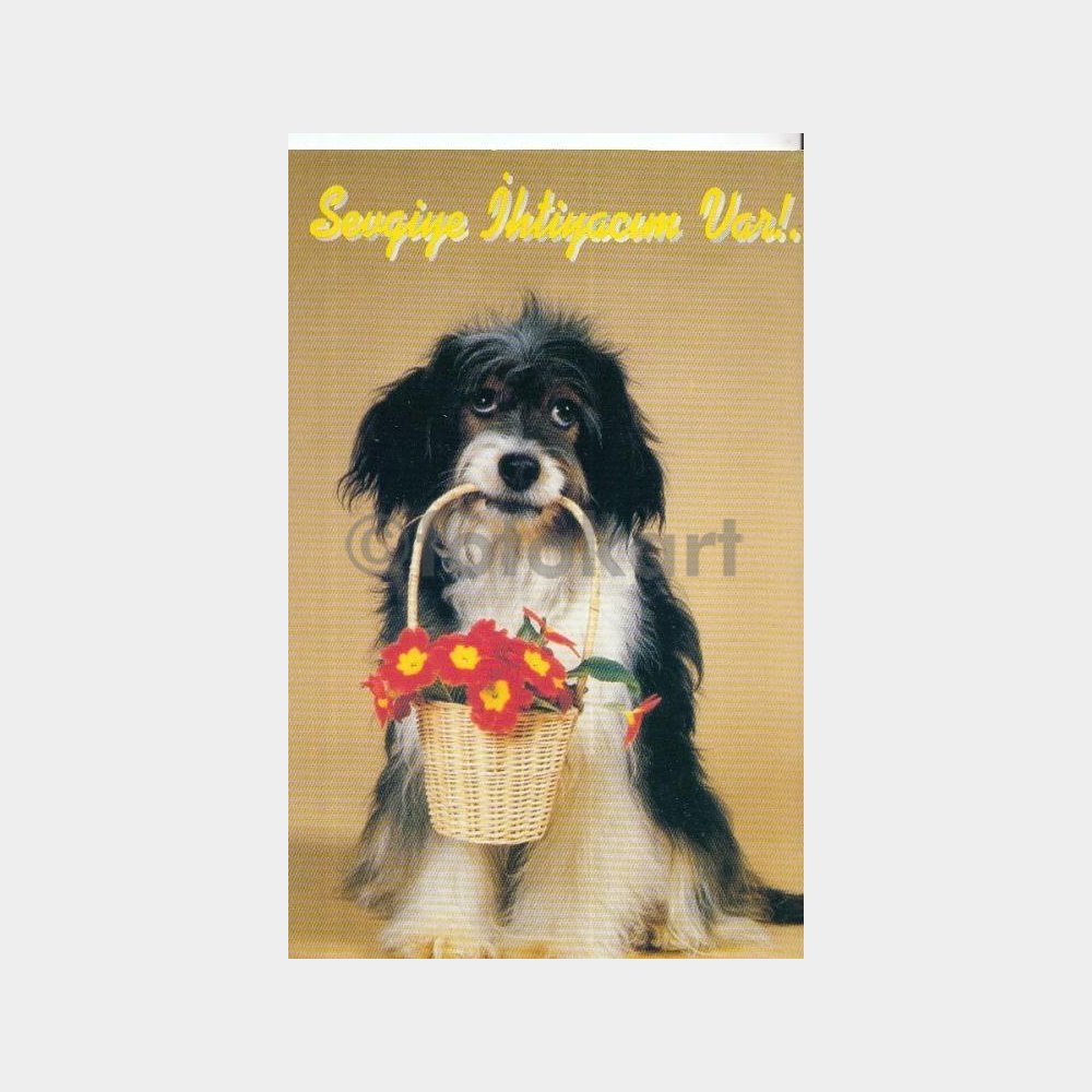 Sevimli Köpek Fantezi Tebrik Kartı Kartpostal