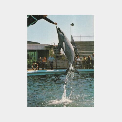 Yunus Gösterisi Konulu Kartpostal