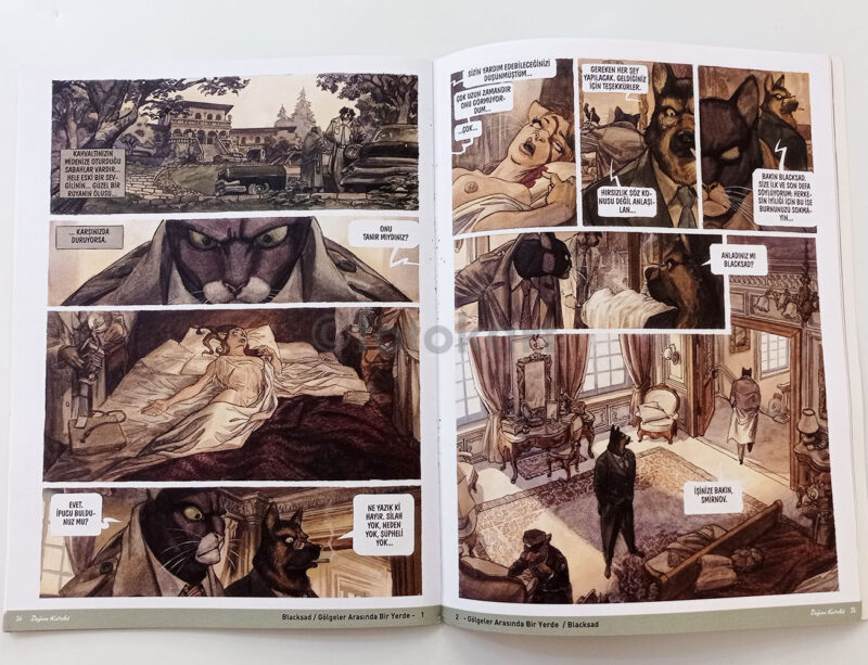 Doğan Kardeş Manga-Çizgi Roman Dergisi, Şubat 2008 - Görsel 2