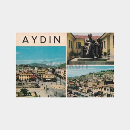aydin