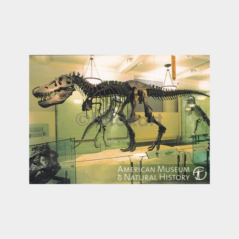 abd-tabiat-muze-dinozor