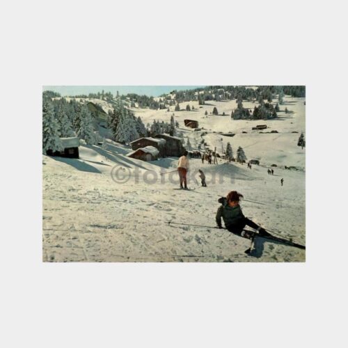 uludag-no1