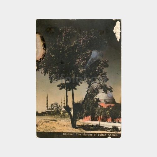 uruna555_1763221013_1_1