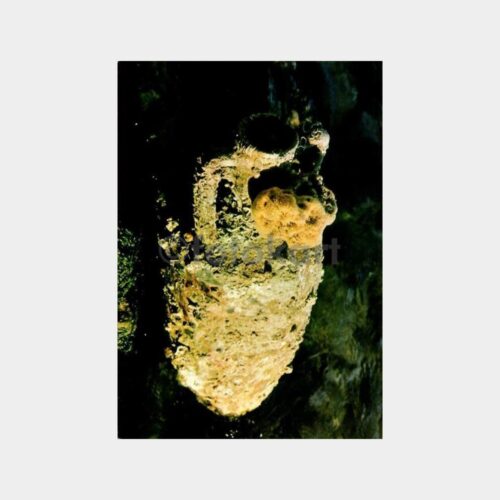 uruna231_1764916185_1_1