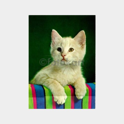 uruna68_1764915263_1_1