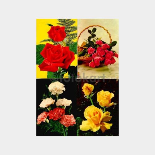 uruna232_1764918641_1_1