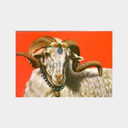 uruna458_1764916189_1_1