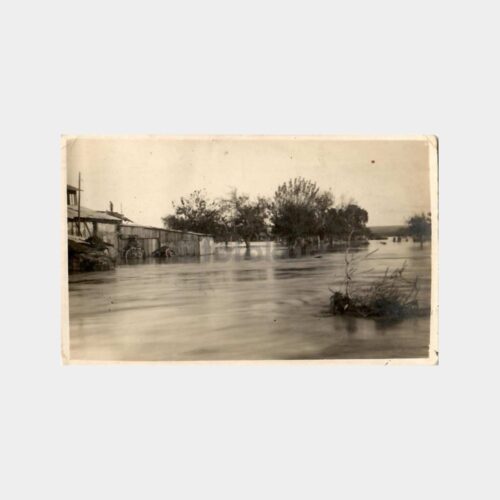 1930 Adana Seyhan Nehri Nadir Fotokart