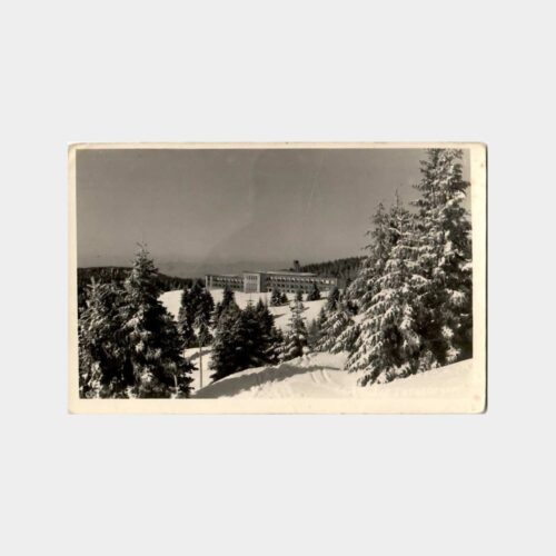 1952 Bursa Uludağ Nadir Fotokart