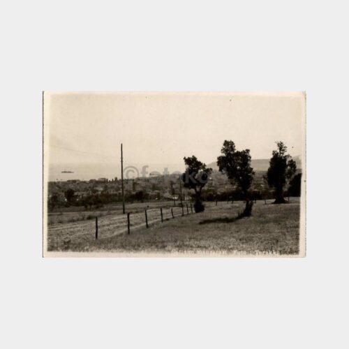 Samsun - Foto Terakki Nadir Fotokart
