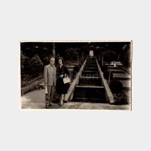 1960 Yalova Termal Taraçalar Fotoğraf