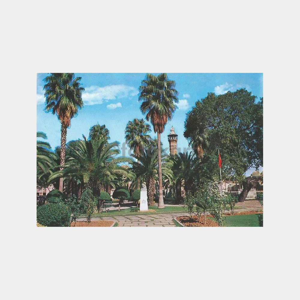 Adana Ziya Paşa Kartpostal