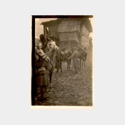 Atların Harekat Hazırlığı Küçük Ebat Fotoğraf