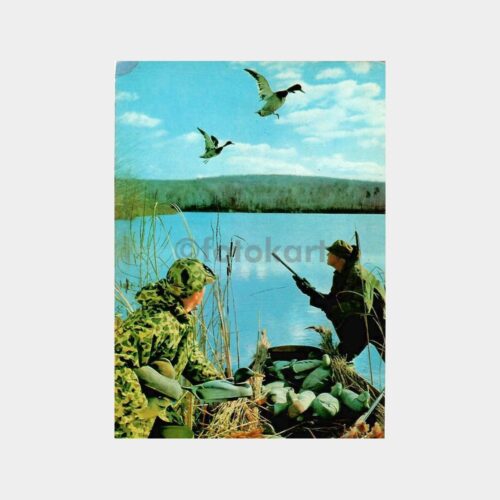 Avcılar - Avcılık Konulu Kartpostal