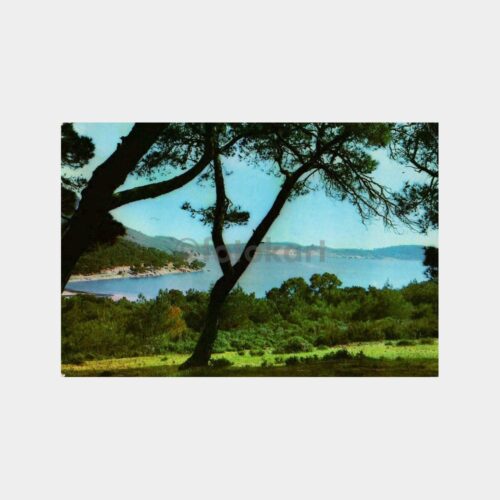 Ayvalık Genel Görünüş Kartpostal