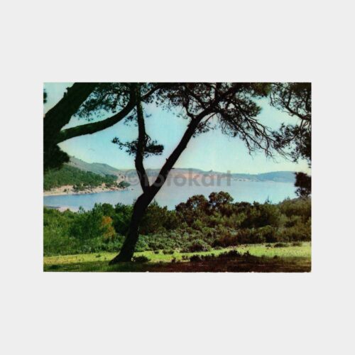 Ayvalık Pullu Damgalı Kartpostal