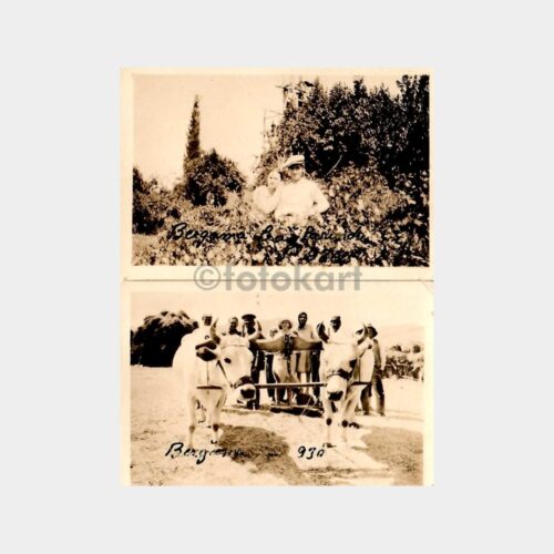 1930 Bergama Çiftlik Hatırası 4 Adet Fotoğraf