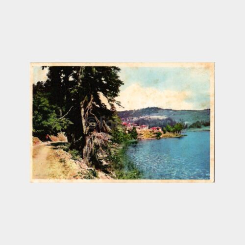Bolu - Abant Gölü Kartpostal