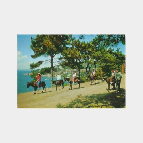 Büyükada Değirmen Köyü Kartpostal