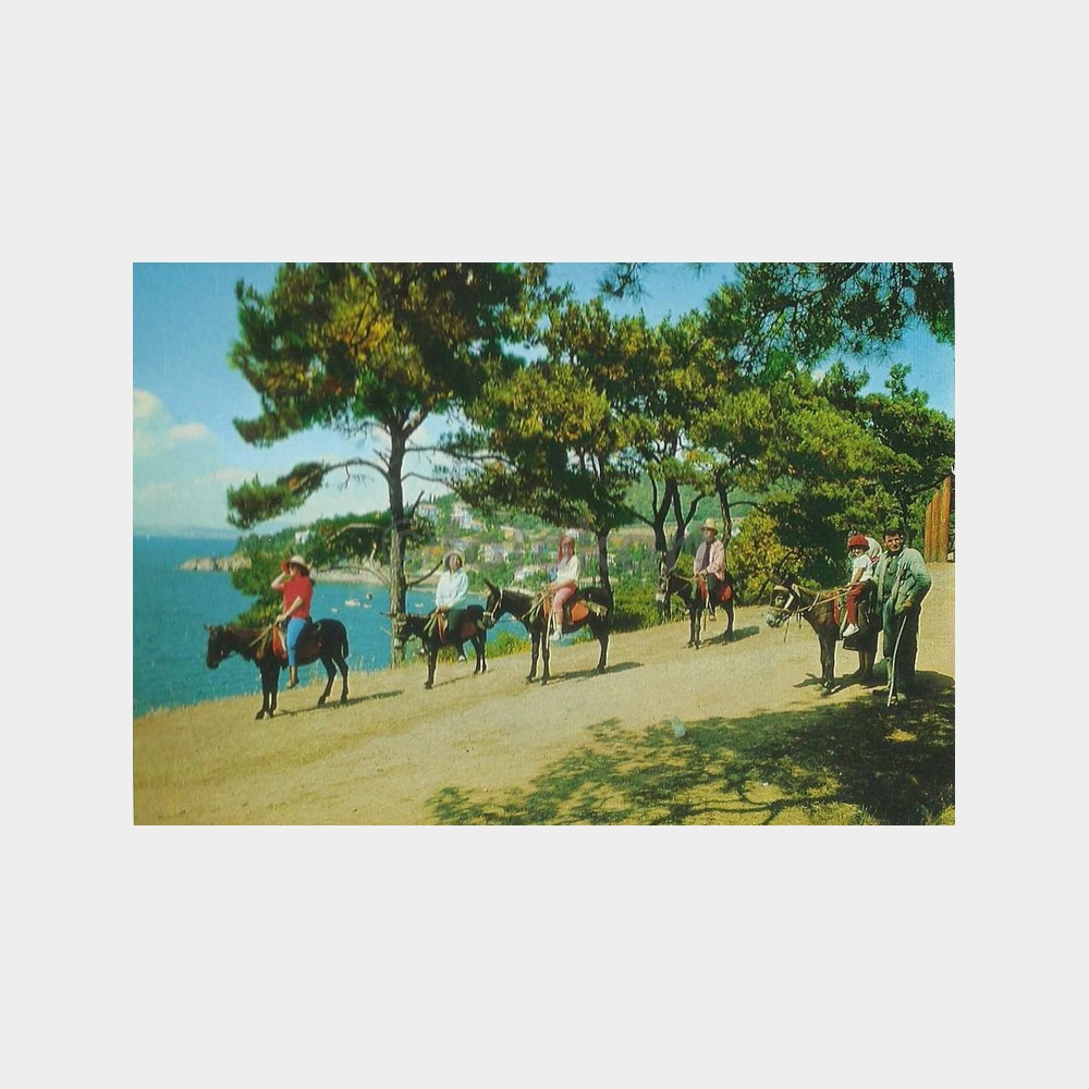Büyükada Değirmen Köyü Kartpostal