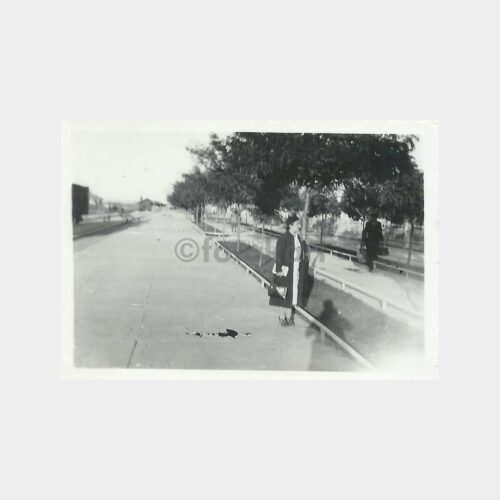 1939 Elazığ Kadın Fotoğraf Lotu (4 Adet)