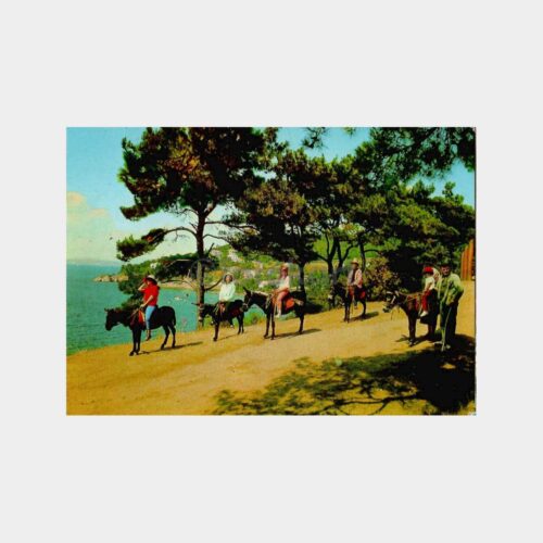 İstanbul Büyükada Değirmen Koyu Kartpostal