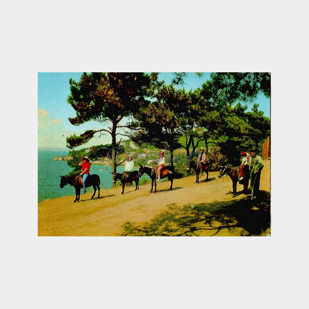 İstanbul Büyükada Değirmen Koyu Kartpostal