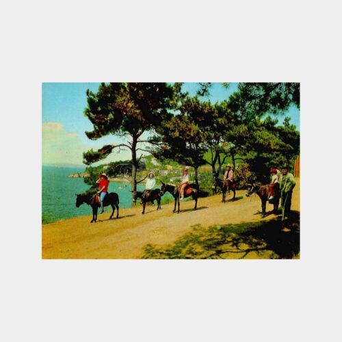 İstanbul Büyükada Değirmen Koyu Kartpostal