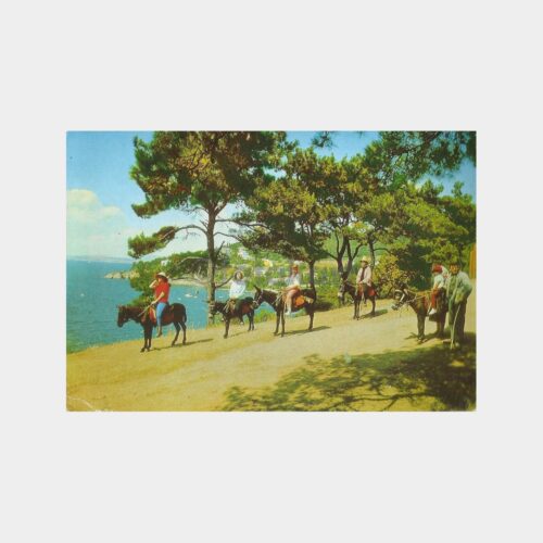 İstanbul Büyükada Pullu Damgalı Kartpostal