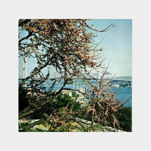 İstanbul Ortaköy Boğaziçi Köprüsü Tebrik Kartı
