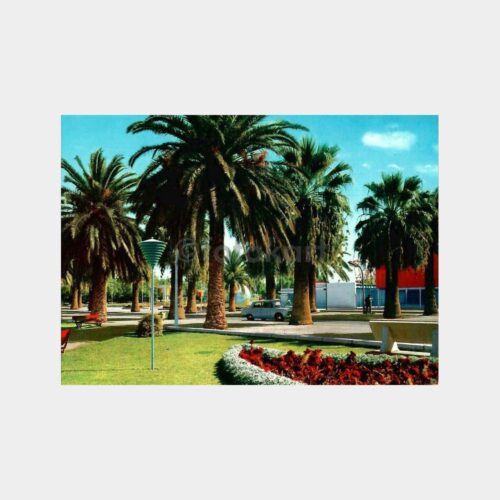 İzmir Kültür Park Kartpostal