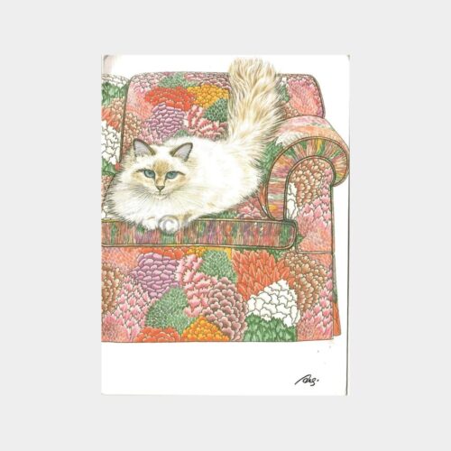 Kedi İllustrasyon Tebrik Kartı