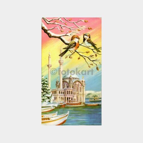 Ortaköy Camii ve Kuşlar İllüstrasyon Kart