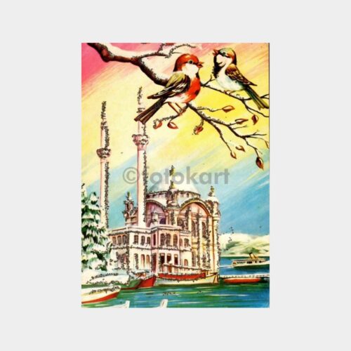 Ortaköy Camii ve Kuşlar İllüstrasyon Kartpostal