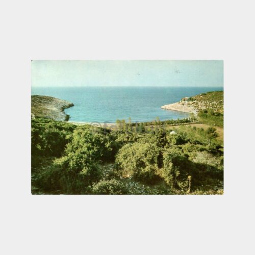 1976 Sahil Görünüş - Çelik Nakliyat Tebrik Kartı