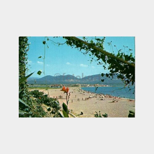 Samsun Genel Görünüş Kartpostal