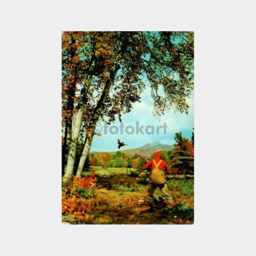 Sülün Avcısı Kartpostal