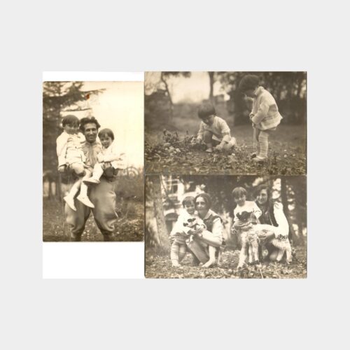 Aile Çocuklar ve Kuzular 3 Adet Fotoğraf