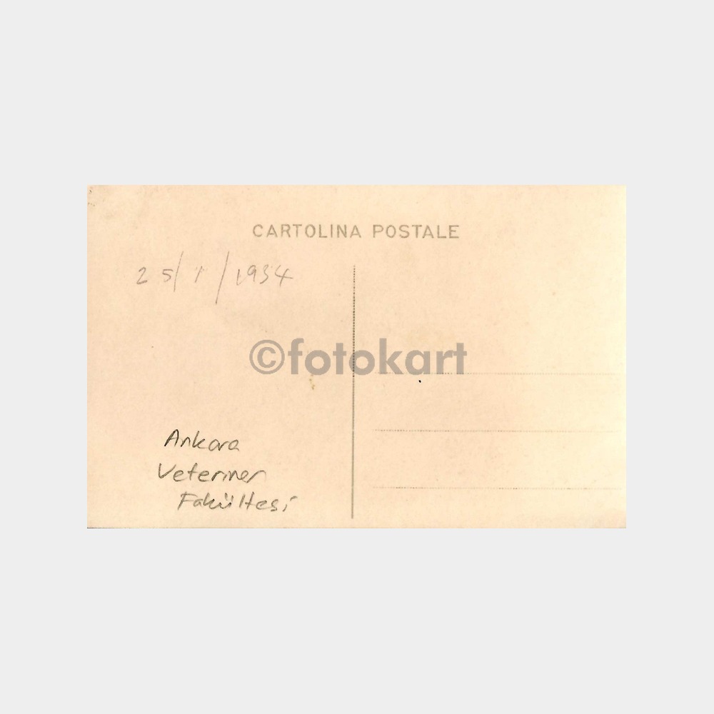 1934 Ankara Veteriner Fakültesi Grup 2 Adet Fotoğraf - Görsel 2
